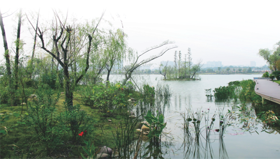 image014.png
